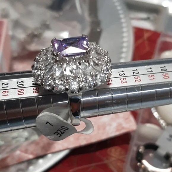 Camille Louise rings Silverstone - Picture 2 of 3